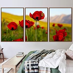 signwin 3 Piece Framed Canvas Wall Art Red...