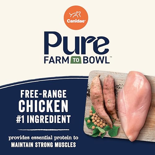 Canidae Pure Limited Ingredient, Premium Hundetrockenfutter für Senioren, echtes Huhn, Süßkartoffel & Garbanzobohnen Rezept, 10,0 kg, getreidefrei