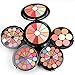 Produktbild CHSEEO Schmink Geschenkset Make-Up Set Kosmetik Makeup Paletten Schminkkoffer Schminke für Gesicht, Augen und Lippen, Elegante Geburtstagsgeschenk und Weihnachtsgeschenk #2