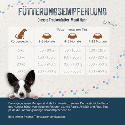 Lakefields Classic Trockenfutter für Welpen | Huhn 60% | 1 x 1kg | Getreidefreies Welpenfutter trocken | Natürliche Zutaten in Lebensmittelqualität | Fenchel, Apfel & Kartoffeln | Neue Rezeptur