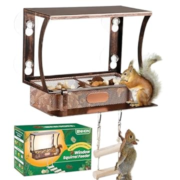 squirrel feeder alternative