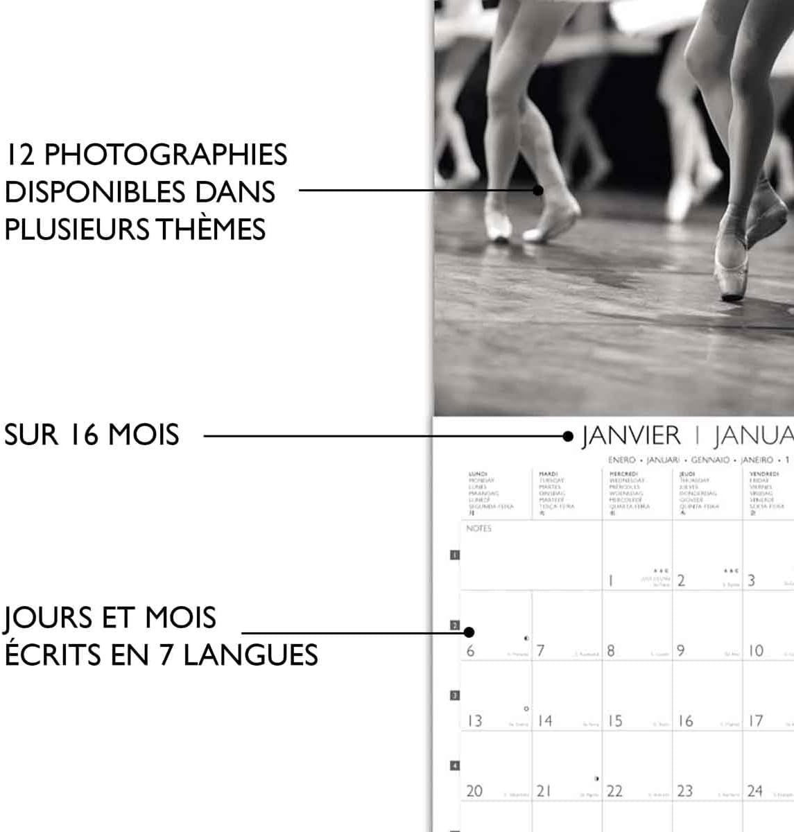 DRAEGER PARIS 1886 - Large Wall Calendar 29 x 29 cm 2025-12 Themed Photos - September 24-December 25-7 Languages - FSC Paper - XXL Format Ideal for Home & Office - Ecological and Elegant Design