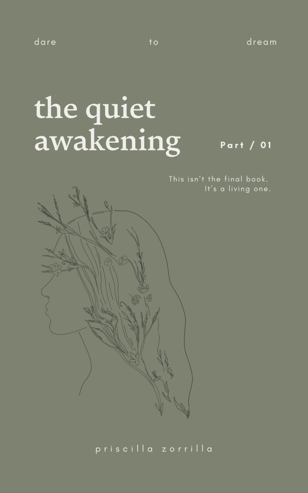 The Quiet Awakening: Dare To Dream