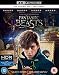 Produktbild Fantastic Beasts and Where To Find Them [4K Ultra HD] [2016] [Blu-ray]