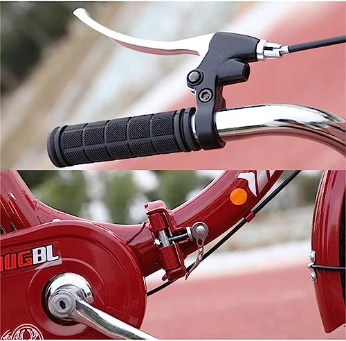 Triciclo Paseo Adulto 20" con Canasta miniatura 7