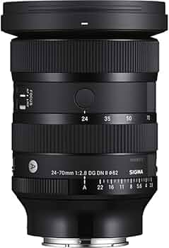SIGMA 24-70mm F2.8 DG DN | Art　ソニー Eマウント 51WoiH3INLL._AC_UF350,