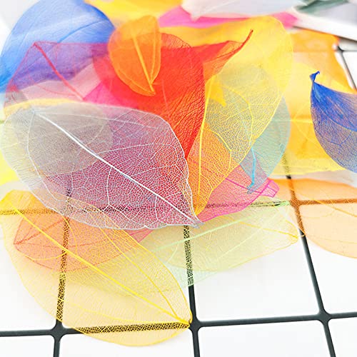 HAOBIN Natural Dry Leaves Dried Leaves Artificial Silk Leaves Decorative Leaves Craft Dry Leaves for Crafts DIY Resin Scrapbook Craft Card Making - Image 4