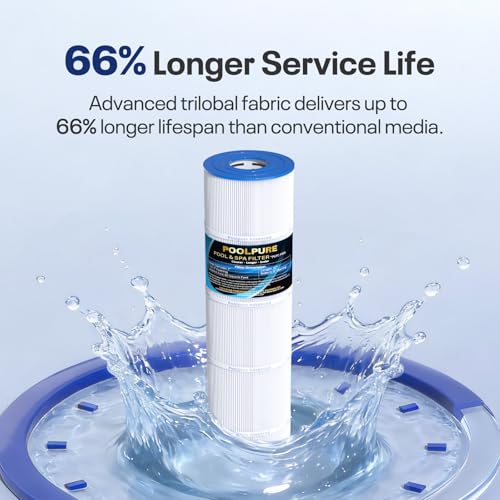 Filtre de rechange Jandy CL 340 résolvant les problèmes d'eau trouble