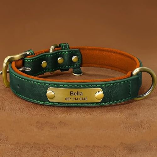 qD    qD L  l[v[g qD I[_[ y  `[J[ DJ ^ ^ ybg^O qh~ (GhO[, XS)