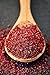 Tazah Sumac Spice - 5 Pounds Ground Sumac Seasoning from Jordan - Essential Ingredient for Mediterranean and Middle-Eastern Cuisine - Perfect for Marinades, Dry Rubs, Kabobs, and Dressings