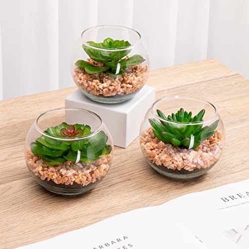 Briful 3Pcs Fake Succulents For Farmhouse Tiered Tray Decor Smaller Artificial Potted Plants Faux Plants Indoor Bookshelf Decor House Plants Tabletop Decor In Glass Pot #TOP4