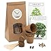 Produktbild HappySeed Bonsai Starter Kit Anzuchtset inkl. GRATIS eBook - Pflanzset aus Kokostöpfen, Samen & Erde - nachhaltige Geschenkidee für Pflanzenfreunde (Zwerg-Granatapfel + Tamarinde)