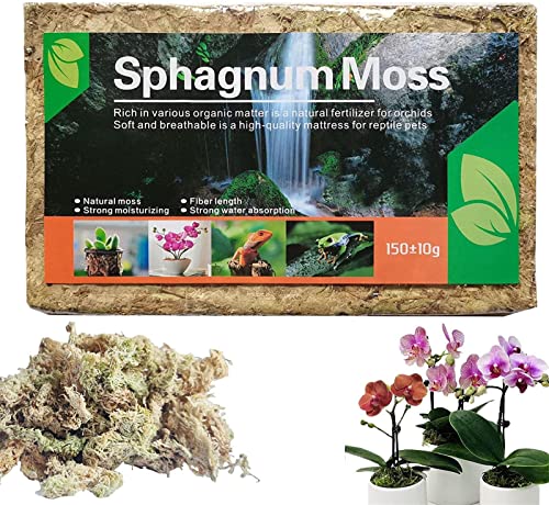 Yeehliny Sphagnum Moos Für Bonsai, Orchideen, Orchideensubstrat Moss Potting Mix Fleischfressende Pflanzen, für Orchid Bio Dünger Home Blumenpflanzenanbau Torfmoos (1PC)