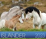 Isländer 2023: Islandpferde - fotografiert auf Island - Herausgeber: Gabriele Boiselle 