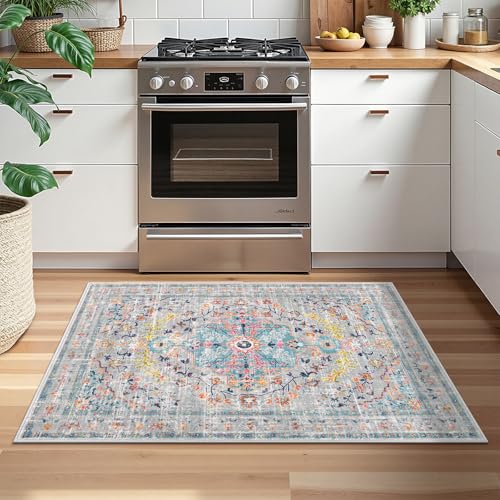 Pauwer Boho Washable Area Rug 2x3 Soft Living Room Bedroom Floor Carpet Mat Indoor Farmhouse Vintage Non Slip Accent Throw Rugs for Entryway Kitchen Dorm Dining Room