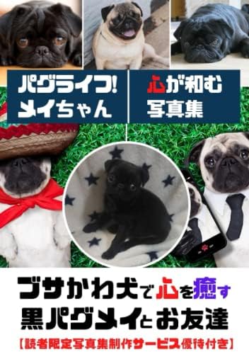 パグライフ メイちゃん ブサかわ犬で心を癒す 黒パグメイとお友達 写真集 動物 ブサかわ Pug Japanese Edition パグ好きクリエーター Daigo Diy出版 Amazon Com Books