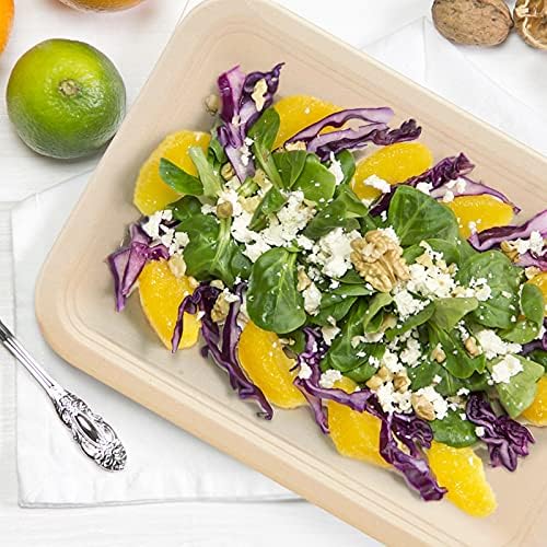 CVIUYO 30Count Disposable Paper Plates , 14 Inch Disposable Food Trays, Heavy Duty Food Trays, 100% Biodegradable Compostable Large Disposable Trays for Crawfish, BBQ