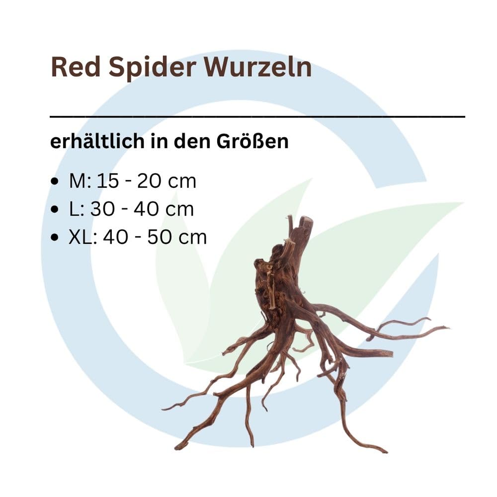 AquaOne Red Spiderwurzel Aquarium Wurzel XL Moorkien Holz Deko Aquascaping Dekoration Landschaft Moos Natur Echtholz