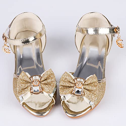 Image of Amtidy Girls Glitter Bow Low Heel Princess Shoes, Mary Jane Ankle Strap Dress Pumps for Wedding Birthday Party Performance