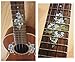 Jockomo Around 10 Frets Hibiscus Concert Position Mark Perfect for Ukulele Inlay Sticker