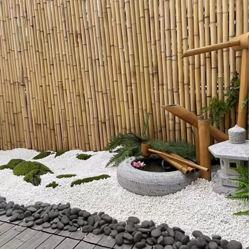 Image of FANTIAN 2 Pounds White Pebbles for Indoor Plants, 3 /8 Inch Polished White Rocks, Decorative River Rocks for Potted Plants Vase Cactus Bird Bath and Outdoor Garden Landscaping