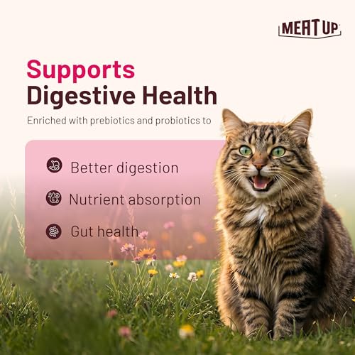 Image of Meat Up Adult Dry Cat Food 14kg (7kg + 7kg) | Ocean Fish Flavour | Maintains Urinary pH | Hairball Control | Promotes Healthy Skin & Coat | Supports Heart Health