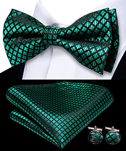 Image of Dubulle Mens Paisley Striped Bowtie Set Pre-tied Bowtie for Men and Pocket Square Set Wedding Business