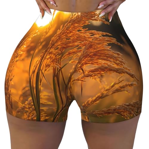 Oats Pattern Sports Shorts, high Elastic Slim Fitness Pants, Suitable for Yoga/Leisure/Daily wear