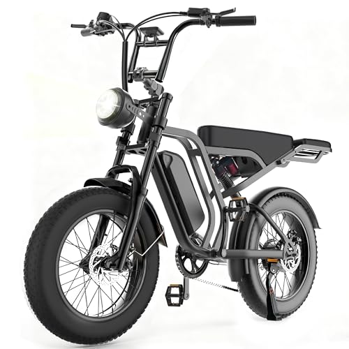Hieha Go Electric Bike for Adults 750W Motor(Peak 1500W) 33MPH