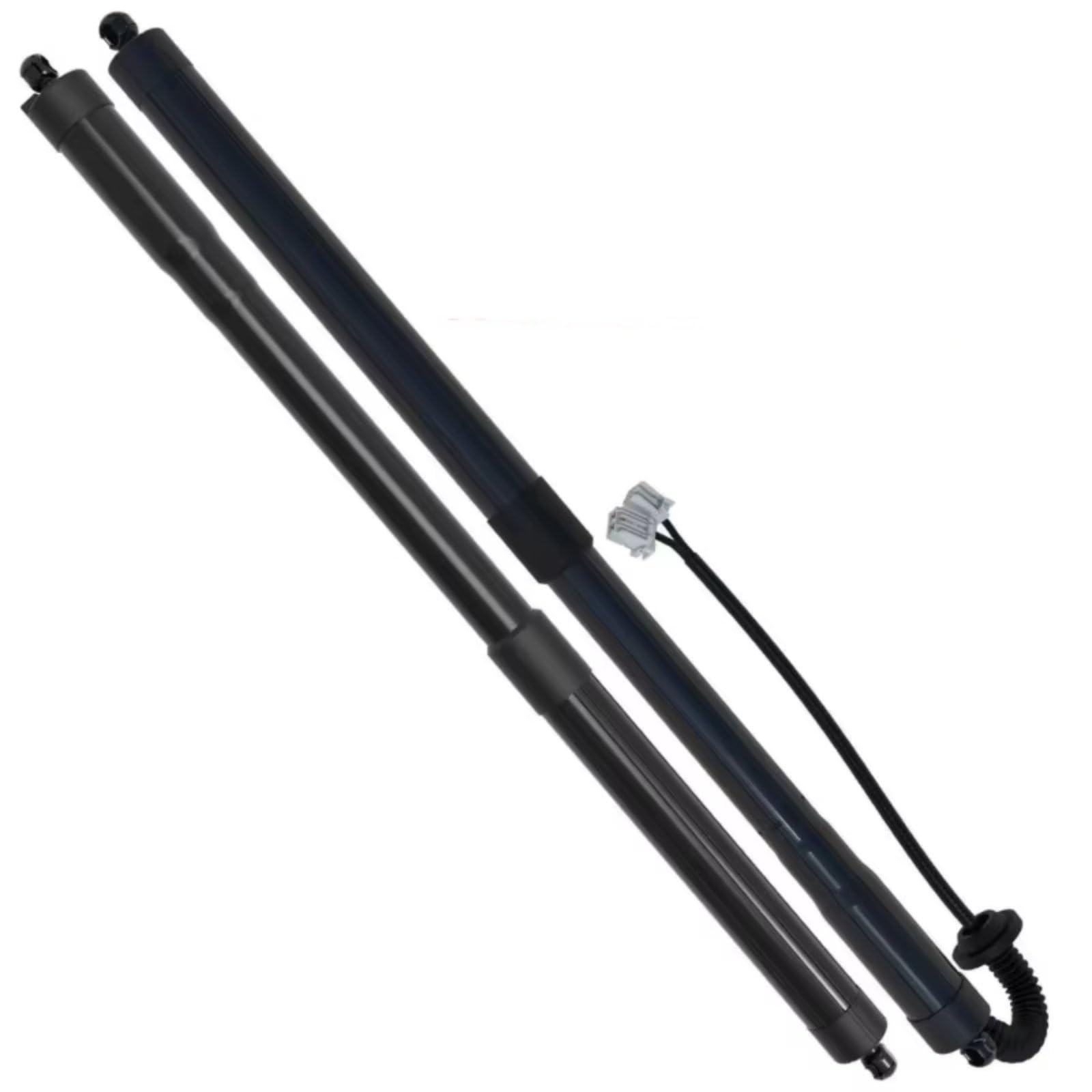 Vérins hydrauliques de capot 74981TG7315 durables pour Pilot - 2