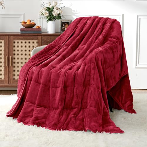 Uttermara Weighted Blankets for Adults Queen Size, 20lbs 60x80 inches Blanket with Soft Warm Plush Sherpa Fleece, Washable Thick Heavy Throw for Sleeping and Calming, Red