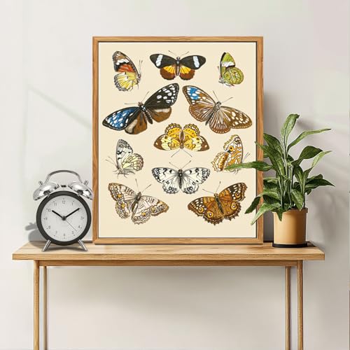 crmotu Butterfly Framed Wall Art, Nature Insect Vintage Canvas Prints Painting, Still Life Neutral Home Decorations, Rustic Aesthetic Pictures Wall Decor Living Room Bedroom Office Cottage, 16x24inch
