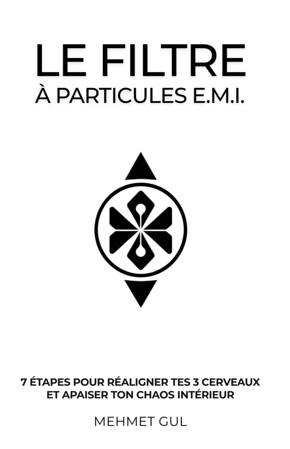 Le Filtre à Particules E.M.I.: 7 étapes pour réaligner tes 3 cerveaux et apaiser ton chaos intérieur