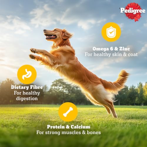 Image of Pedigree Adult Wet Dog Food, Roasted Lamb Flavour Chunks in Gravy, 70 g (Pack of 30), Made with Real Meat, Complete & Balanced Nutrition for Adult Dogs