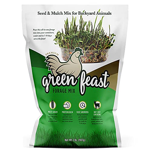 Amturf Green Feast Forage Mix Brown 2 Lb Bag 36018S