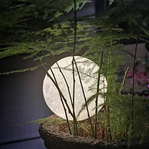 Brightworld Moon Lamp, 3.5 Inch 3D Printing Lunar Lamp Night Light With Black Hand Stand As Kids Women Girls Boy Birthday Gift, Usb Charging Touch Control Brightness Two Tone Warm Cool White #TOP6