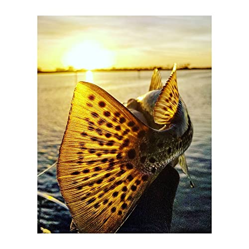 AMERICAN LUXURY GIFTS Speckled Sea Trout 18" Sunset Ocean Wall