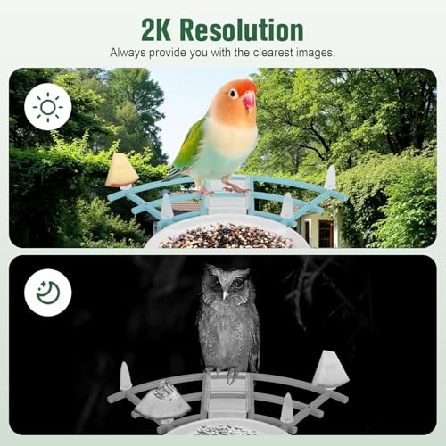HUEVUE-Bird-Feeder-with-Camera-AI-Identify-Birds-Species-Solar-Powered-Auto-Record-Videos-in-Backyard-Instant-Notifications-Ideal-Gift-for-Family-and-Bird-Lovers