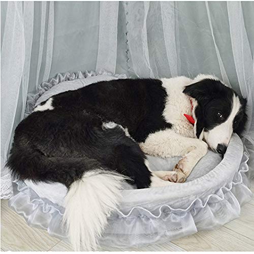 Amazon | ペットベッド 犬ベット ペット用べッド 丸型 通気性 Amazon | ペットベッド 犬ベット ペット用べッド 丸型 通気性