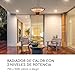 Blumfeldt Calefactor de Techo, radiador infrarrojo con Tubos Infrarrojos de Cuarzo, 2...
