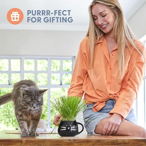 The Cat Ladies Organic Cat Grass for Indoor Cats - Growing Kit with Organic Seed Mix, Soil and Black Cat Planter. Natural Hairball Control and Digestion Remedy, Cat Gifts