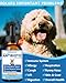 SANTKOL Natural Antibiotics for Dogs - 60ML Dog Antibiotic Drops - Itchy Skin Relief - Allergy Relief - Immune Support - with Organic Natural Ingredients - Bacon Flavor