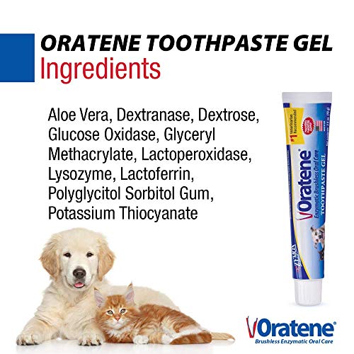 Oratene Brushless Toothpaste Gel For Dogs And Cats, 2.5Oz #TOP3