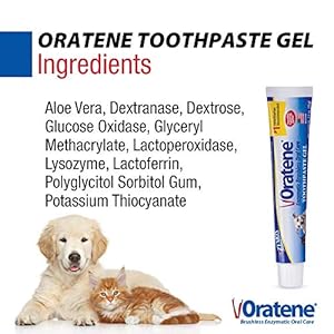 Pet King Brands Zymox Oratene Brushless Toothpaste Gel for Dogs and Cats 25oz  Cucciolini Doodles Pet king brands zymox oratene brushless toothpaste gel for dogs and cats 2 5oz   cucciolini doodles