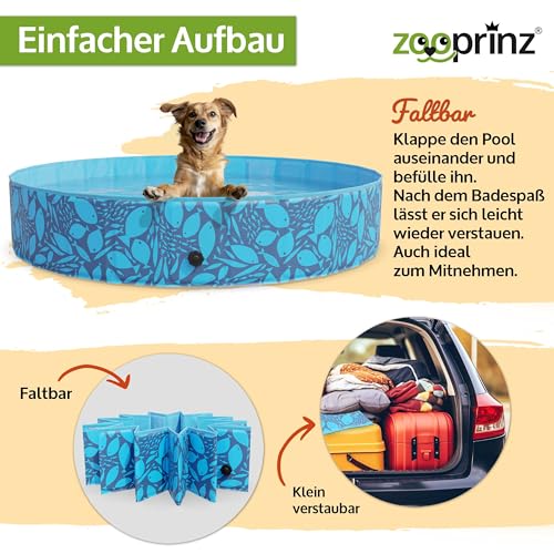 zooprinz Faltbarer Pool 160x30 cm - Für große, kleine Hunde & Kinder – Haustier Hundepool stabil & rutschfest Swimmingpool, Planschbecken Hund Kind – Schwimmbad