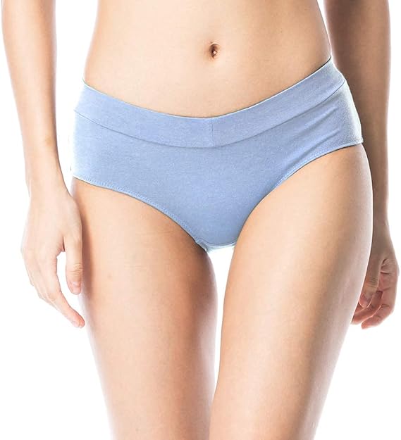 Shero StayFresh V Front Hipster, Odor Resistant Panties for Women with