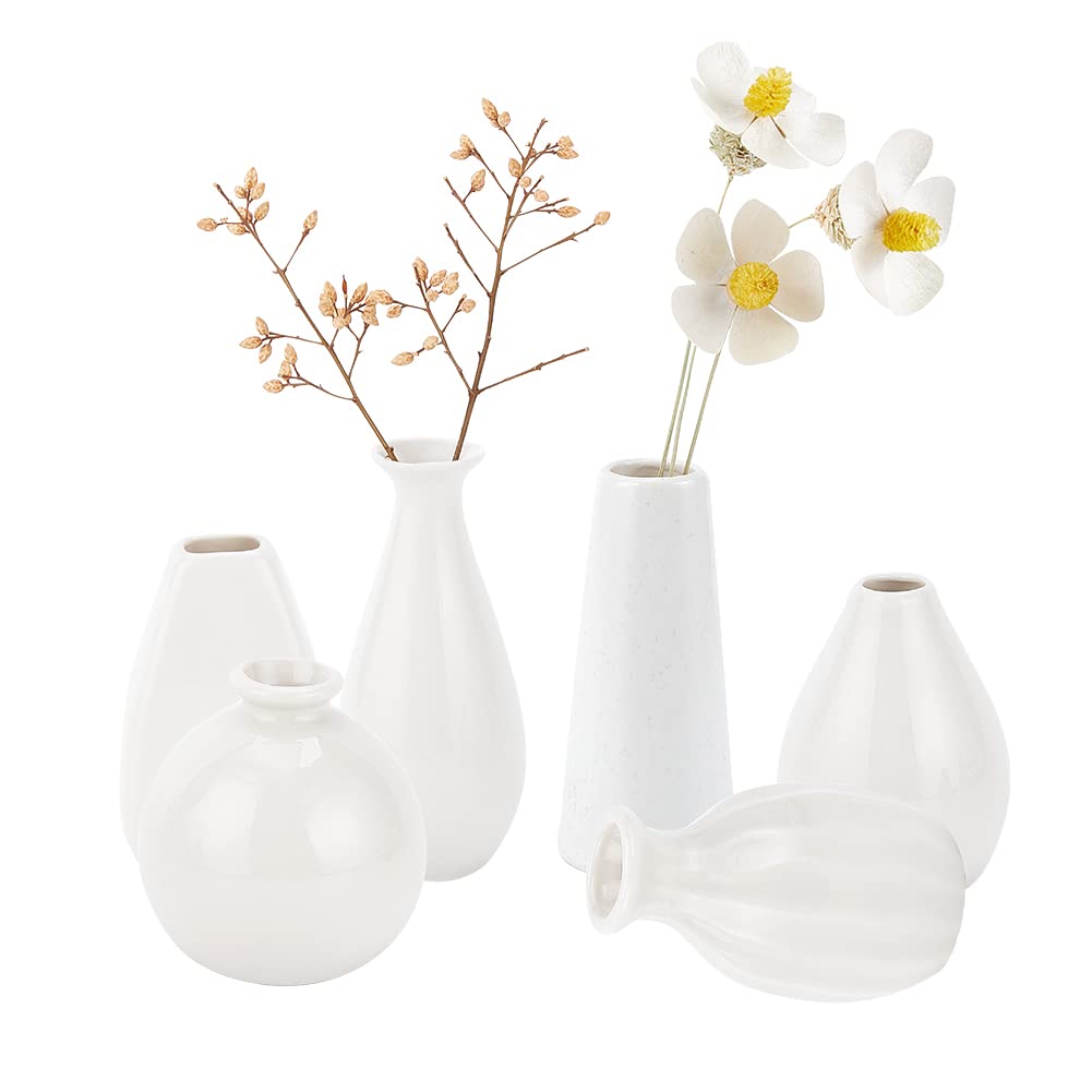 NBEADS 6 Pieza Mini Florero de Cerámica, Jarrón de Decoración Rústica de 6 Estilo, Decoración de Casa de Campo Moderna, Jarrones Pequeños Lisos Blancos para Flores, Plantas Pequeñas Florales