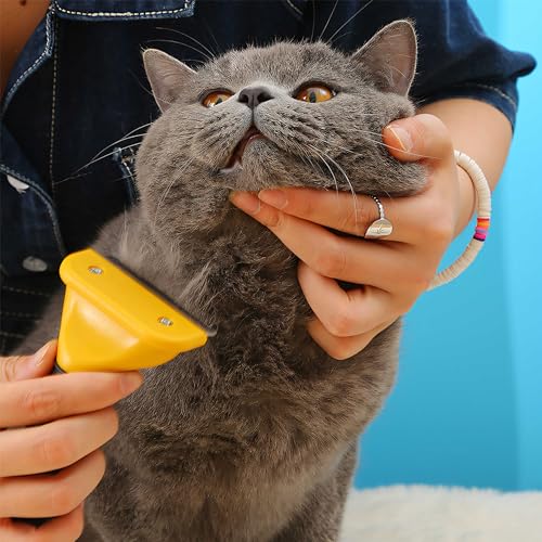 Retoo Brillirare Hundebürste & Katzenbürste für Kurz, Unterwollebürste zur Fellpflege & Haarentfernung, Entfilzende Fellbürste für Große & Kleine Hunde und Katzen, Perfekt für Kurze & Lange Haare