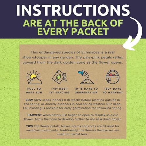 Organic Herbal Tea Seeds Variety Pack - 16 Individual Packs - 2026 Season - Mint, Lavender, Chamomile and More! for Indoor & Outdoor Planting (Non-GMO, Certified Organic) - Image 5