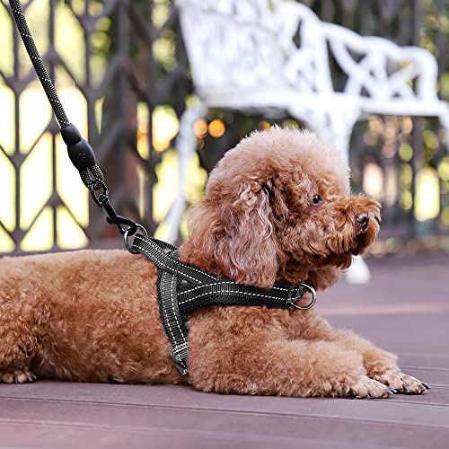Image of Plutus Pet No Pull Dog Harness for Puppy Small Dogs, Breathable Mesh Padded